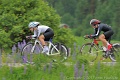 _DSC0603